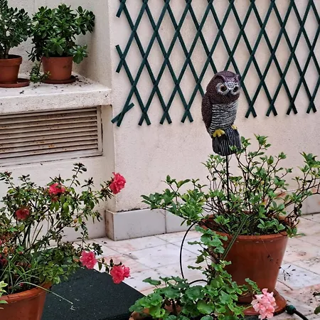 Sunny Terrace * Lisbon