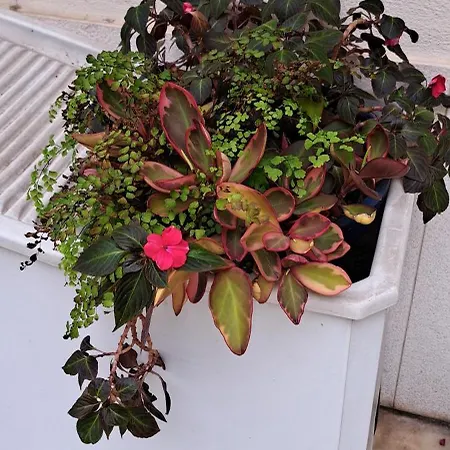 Sunny Terrace דירה