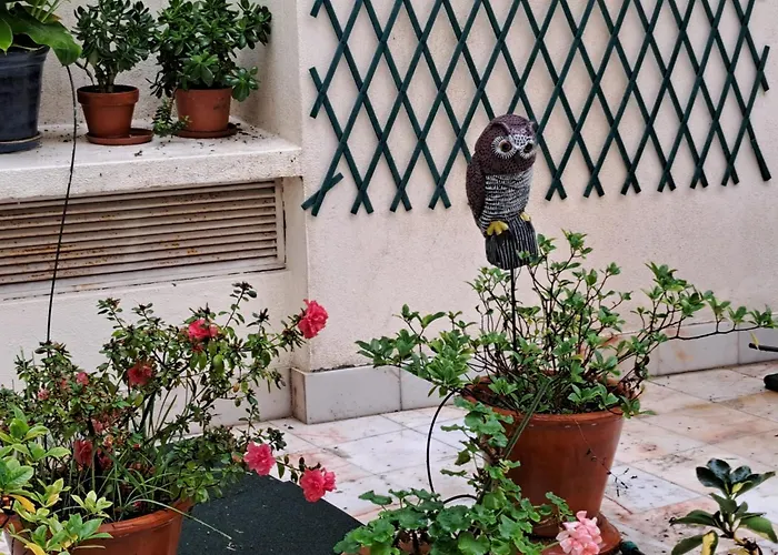 Sunny Terrace * Lisboa