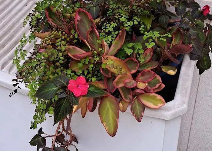 Sunny Terrace Διαμέρισμα